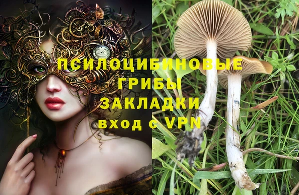 PSILOCYBIN Елизово