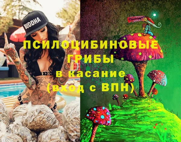 PSILOCYBIN Елизово