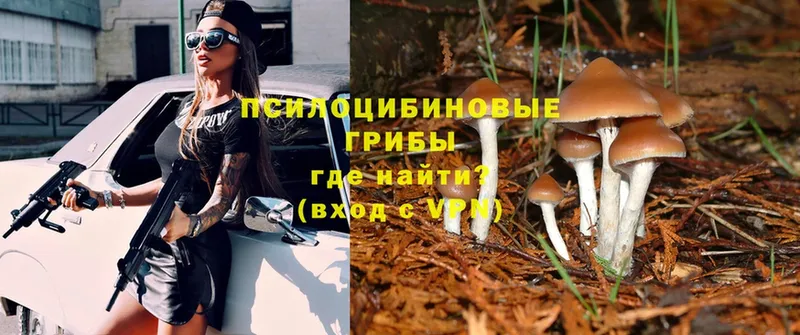 Галлюциногенные грибы Magic Shrooms Белозерск